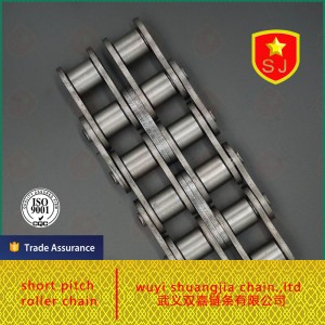 Din Standard B Series Roller Chain